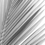 Cc96f0481872df74afead3e3e476a621