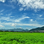 E14cefb6d9bd0c76934af74065538392