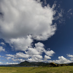 605de5f9c1721eb76c3ad97b58bc8d98