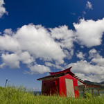 D4da03e43342599474acd72033c062ba