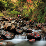 Cef81bd67cb66f6fcc386db06bcbed85