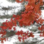 9f281b7ae32da9978aaff2a991acfb05