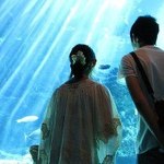 9c458bb7460b7810c60ebcfd96b62a9f