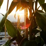 D5e767fc30ac6b779a3ad5d60300b1da