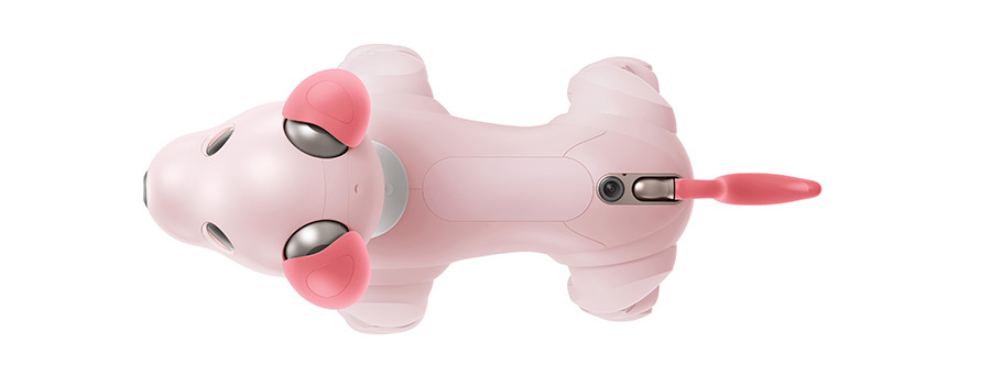 Sony機器狗aibo誕生4週年限量新色「草莓牛奶」發售，建議售價約NT$ 55,000 | DIGIPHOTO