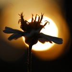 2ef8262faa9fa13fa91cffd377602f25