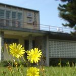 9d9b6d8741743a2806bd3f00516aae7a