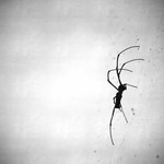 B790eb4e059504059d3cece1a763308a