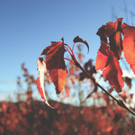 97a8f6af1ead2a25e1a33b7feac40bbd