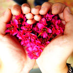 Dc072386850ce49e4b5e087075a6447a