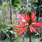 1e6323d1aa6d76a33a878ad7c6facd93