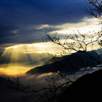 Efeb3537efe54aa527e1cb470361b546