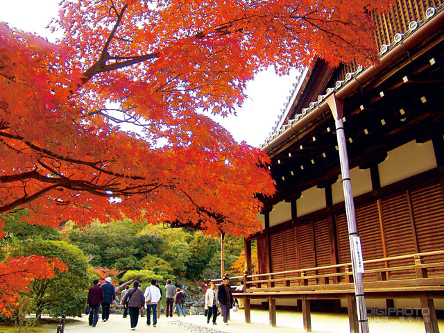 紅葉國度京都賞楓行 器材準備 旅遊動線 上 第3 頁 Digiphoto