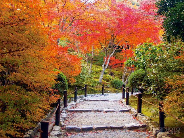 紅葉國度京都賞楓行 器材準備 旅遊動線 上 第3 頁 Digiphoto