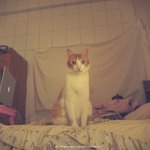 19e6abc051135c7044a212bdbe1aa236