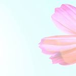 E93171d7ec2fab338a2ffa540ad720d8