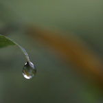 C3d641fc54d645f998e07f27512effdf
