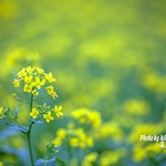 F7c647a4681972585054bb63bee32d07