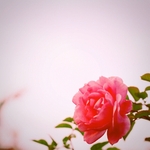 5d3cc2cd8300058d1ad946349fe19e68