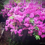 5f619c78a8535ca5bb980e8220d1bc17