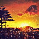 1b3760bf166900a5b0dbae1ee44e7a3b