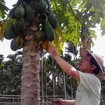 96df8566f8fbc697d2c65cb9a839a06d