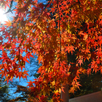 0f44bc06cc2c224051fc58e3aaf7d152