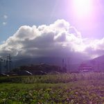 A95ef4a0290d668ffdf69cb487e5ccd4