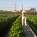 Bb33cba6f66e271fb1593df3a04302c2