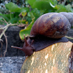 B9a7d4824dafae0888137a14219cb3f7