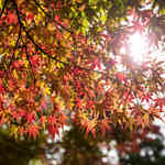 1aa5c8f13e4facf90b39d07e8adbdcda