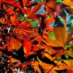 569a2df71eea761cff338106396719f5