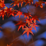 2e7e5d8ca3e6d2b36bbddd05b85c1e29