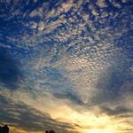 6d3229e0f315ca8001fa215b69080d29
