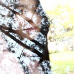 Ce7147ef56f1866d720f8f6744cad942