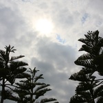 C8e1be95e2932bf17a8c6afdc3ff9248