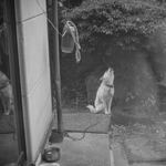 539ecf67cf7bd2c070eee6095d8e5562