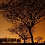 1302c64768677206d268140219eec520