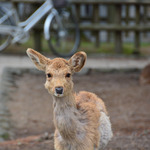 75b3fe062b96fde0285cfbe05fcefb48