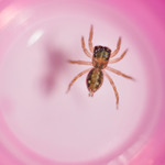 0b2be5fe0f34e39cb2b01da62af9d1b9