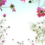 54cc8f4bf5c1eb84635aec03e4eec837