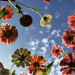 A6fac9ac4db6002c3d33043bcd79d7ce