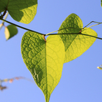 3f4fd8f138725ab3891ae784c4bc64b6