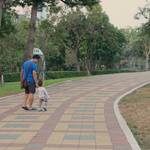 49ff55ce1b97574b3d540e161a292d91