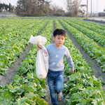 42bb194b5ca12f146506f731d4982919