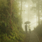 21faeb4f0b1c6f311335c3af41e24b23