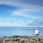 496fdb41e7e7fcd61b68b4798ca21b52