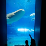 9a2dcbb6c4b58b25dc1fd4481e8a72e1