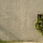 4575136022b0c8d05f6e998f7e01c470