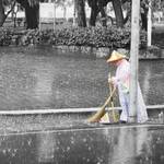 434d395df3be15f3c49754c34d1e8c86